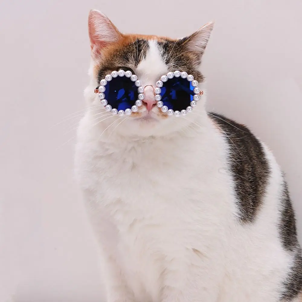 Pearl Glasses Dog & Cats - PeticaDeals