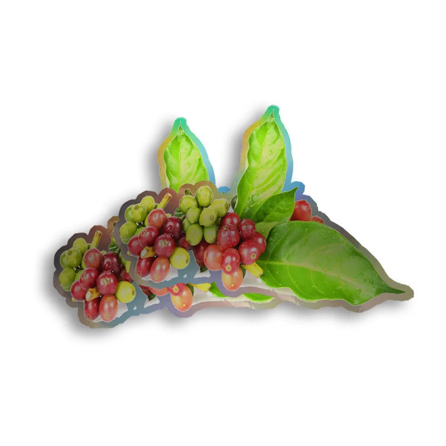 맞춤형 인쇄 풀 컬러 홀로그램 스티커 라벨