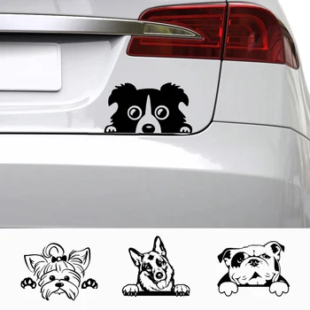 Funny Dog Name Decal 1