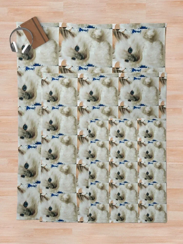 ���׵� ������ ������ ���, ���Ÿ� �귣��, �Ƹ��ٿ� ��� �� ���