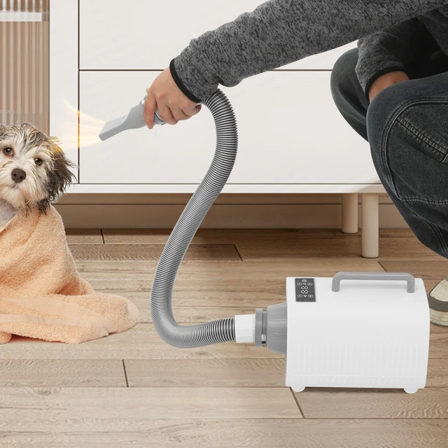2100W Pet Hair Dryer Touch Screen 220V  for Dogs and Cats of Different Sizes in Private Homes, Pet Stores, Pet Hospitals 1