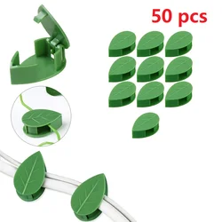 Indoor Garden Ivy Wall Climbing Hooks - Self - Adhesive Plant Support and Decorative Mounts (50pcs)
