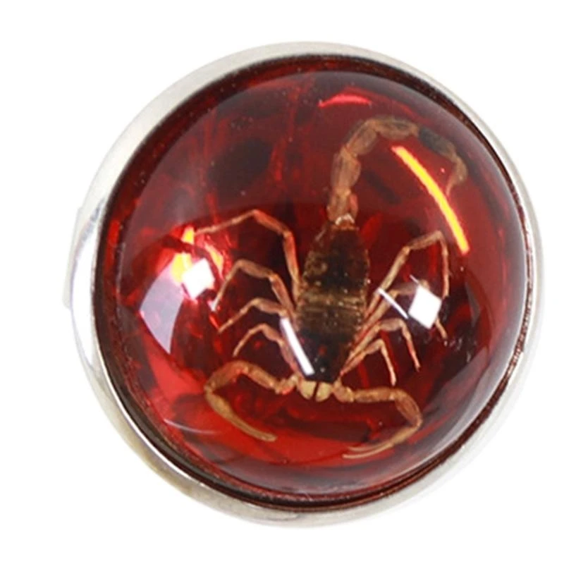 Trendy Rings Versatile and Fashionable Opening Rings for Daily Parties - 2
