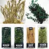 Simulation Forest Bush Cluster Model  Micro Landscape DIY Miniature Plant Creepers Leaves Military Sand Table 1