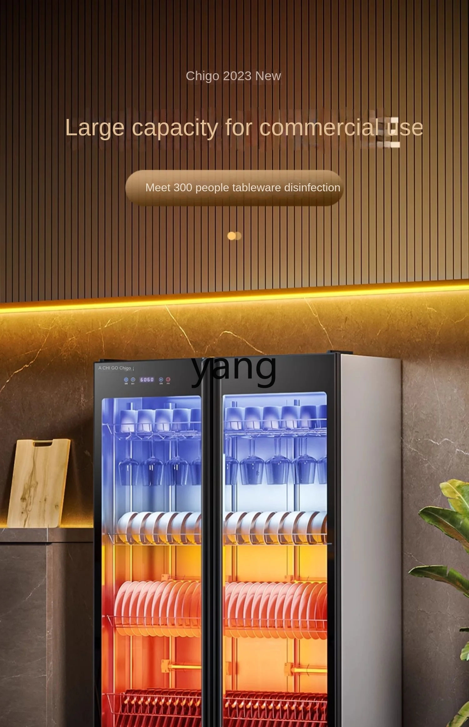 L'm'm Disinfection Cabinet Commercial Catering Stainless Steel Cupboard Large Capacity Hot Air Vertical 2