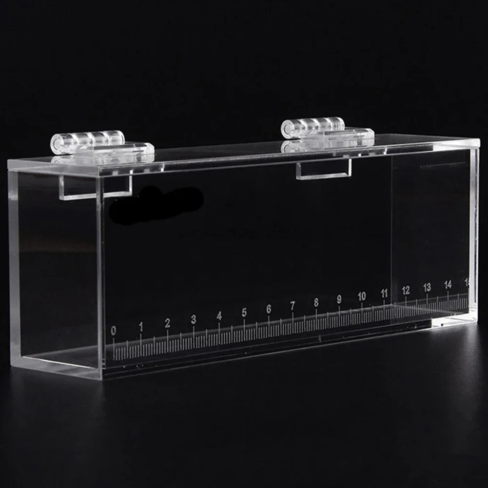 1PCS Transparent Acrylic Fish Viewing Box High Clear Portable With Scale Crystal Fish Box Desktop Ornaments Party Home Decor