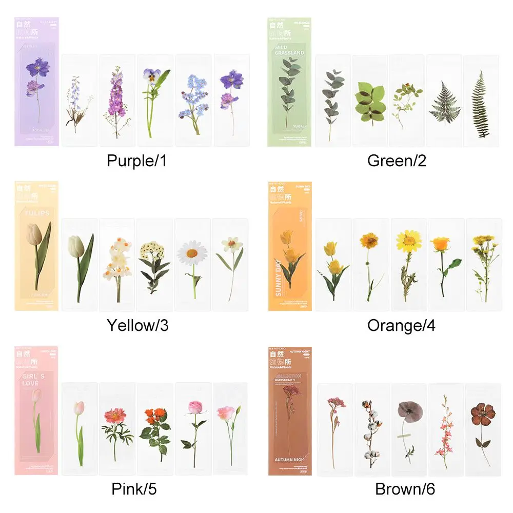 Book Note Marker PET Page Holder Reading Mark Bookmarks Card Translucent Flower Nature Plants Bookmarks Specimen floral painting bookmark,bookmark page holder,bookmark holder,retro flower bookmark