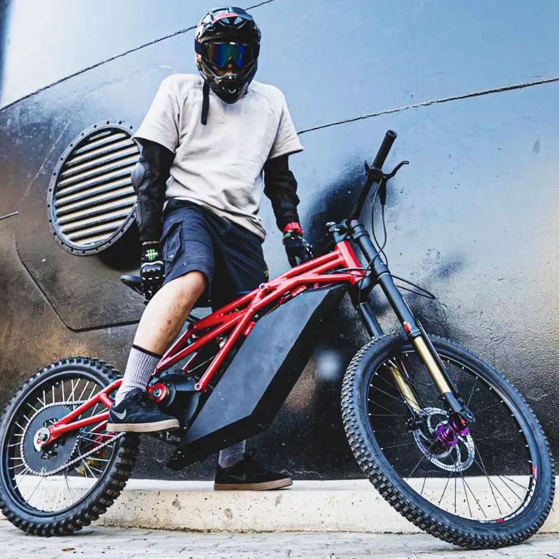 Whale Energy Surron Electric Dirt Bike 