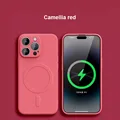 Camellia red