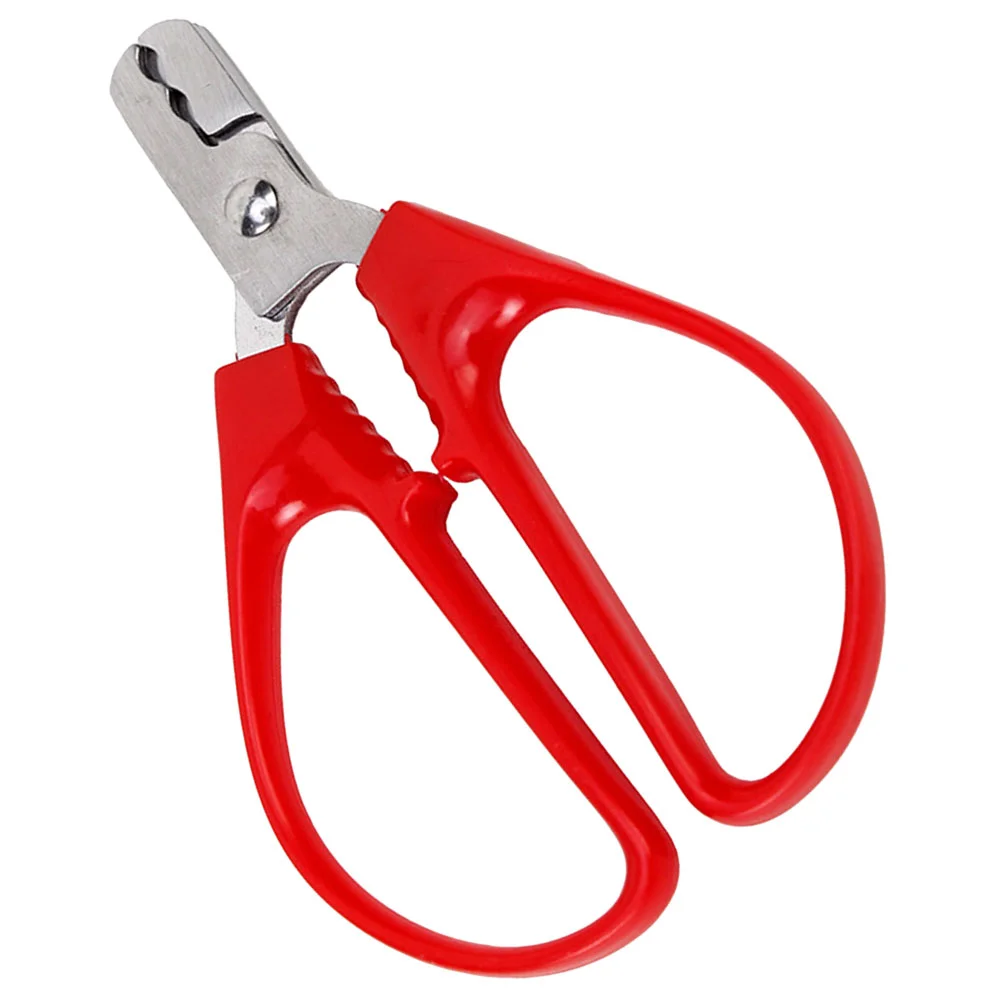 스테인리스 스틸 멜론 씨앗 플라이어, 게으른 인공물 오프너, 너트 쉘 크래커, 피스타치오 쉘러 필링 플라이어, 주방 도구 