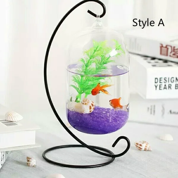 Bocal Poisson Aquarium En Verre Transparent, Aquarium Écologique