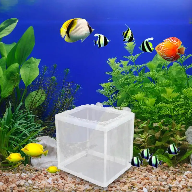 Fish Breeder Box with Suction Aquarium Breeder Box Fish Incubator Mesh tank breeding isolation box Fry Hatchery