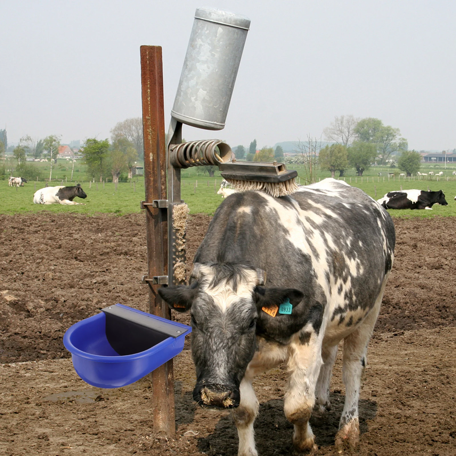 

Automatic Cow and Sheep Drinking Water Bowl Cow Water Feeder Water Dispenser Automatic Horse Waterer Livestock Trough Tool
