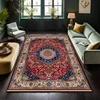 Classical Persian Carpet in The Living Room Decoration Bedroom Soft Mat Bedside Non-slip Easy Clean Lounge Rug Entrance Door Mat 3