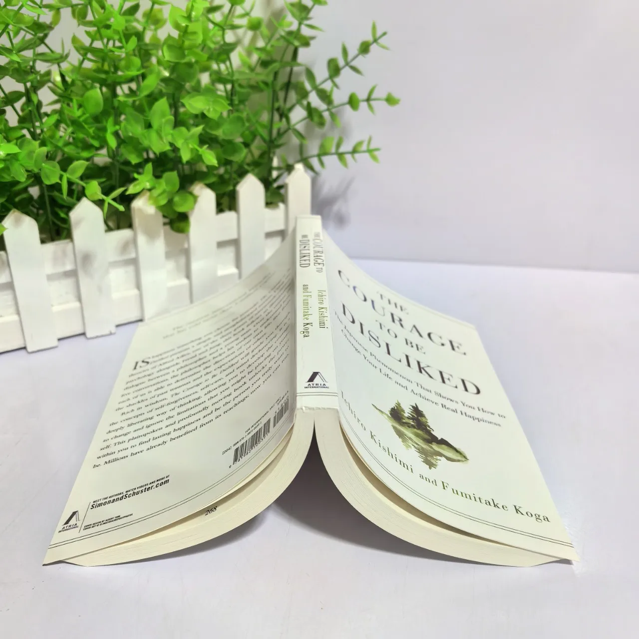 2025A coragem para ser tranquilhada Como liberar que mudam sua vida e alcançar a felicidade real Livro de inglês de bolso