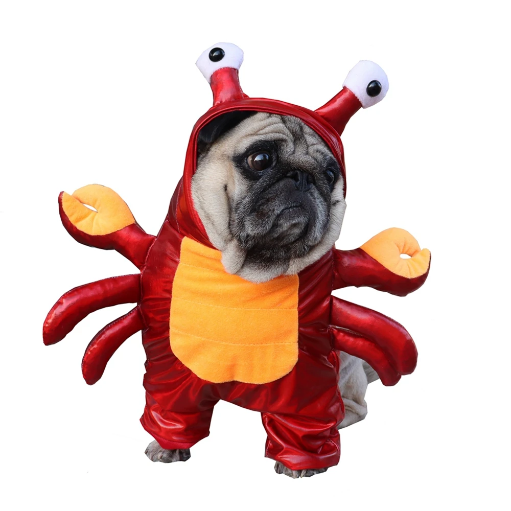 Divertenti costumi per cani da compagnia di Halloween vestito di