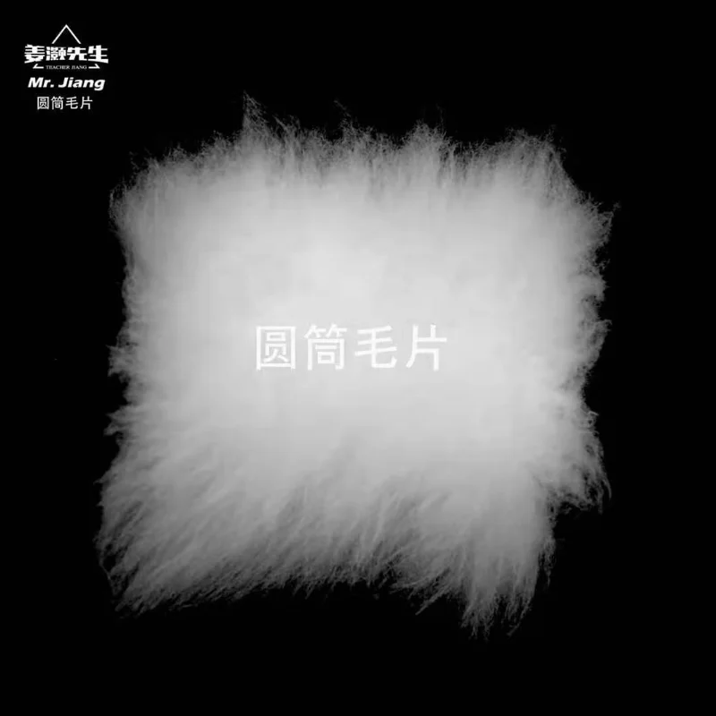 Pet Wig Grooming Cylinder Pack of 5 tablets model dog for pet grooming Pet Groomer Practice ( no mannequin)