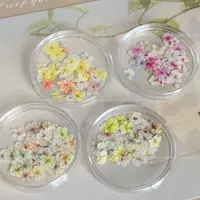 50pcs/Box Janpanese Style Manicure Flower Accessories Monet Floret INS Oil Painting Dried Flower Color Mix Petals Nail Art Decor 1
