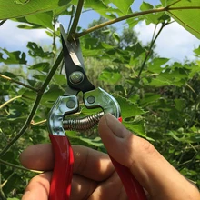 

Gardening flowers plants fruits vegetables pruning pointed stainless steel garden shears