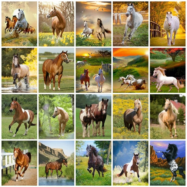 Huacan 5D DIY Diamond Painting Horse Full Square/Round Mosaic Animals  Handicraft Embroidery Wall Decoration Gift - AliExpress