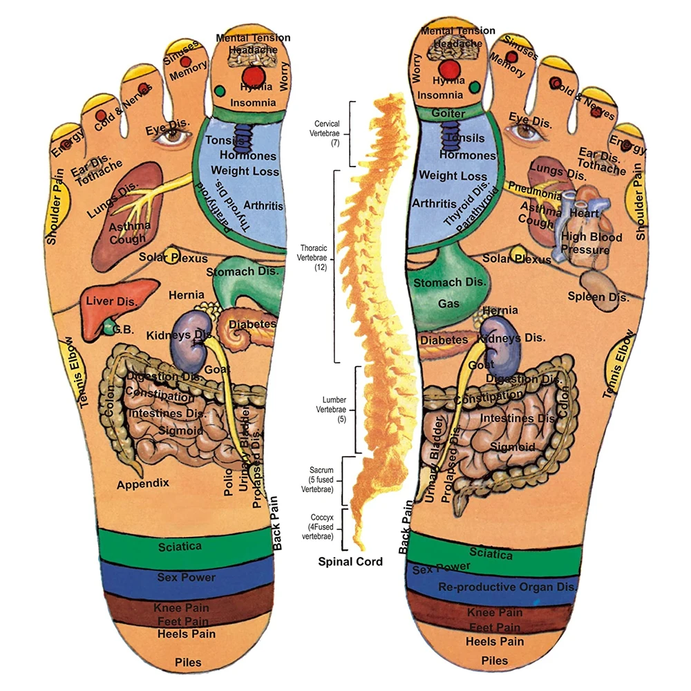 Terahertz-terapiapparat Ljusvågspulsmassage Elektrisk värmeterapi Handmeridianmassage Kristallslang_voghion.com