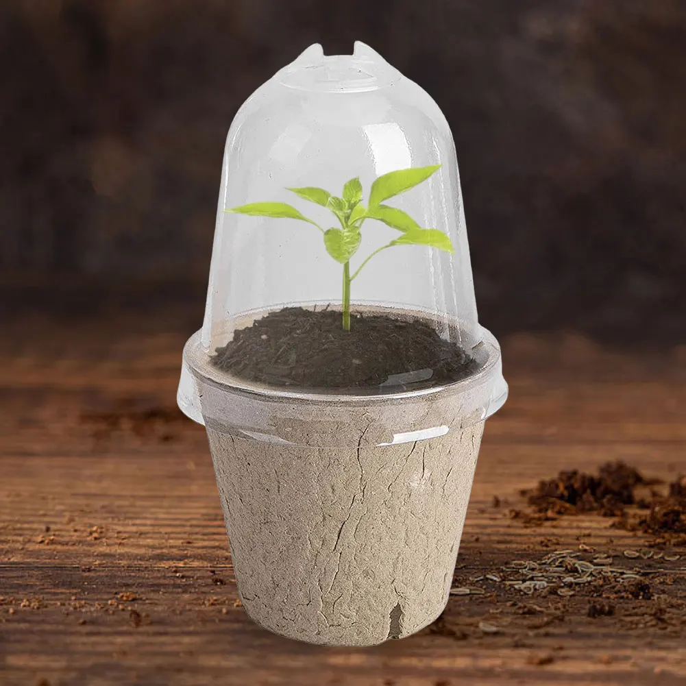 Eco-Friendly Seedling Cups with Transparent Dome for Germination Biodegradable Garden Planters 10 Pcs Set