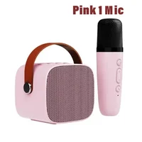 pink-1-mic