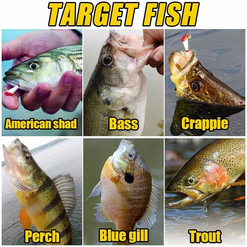 25pcs Fishing Hooks Painted Shad Dart Jig Heads Crappie Panfish Bass Lures Bait Goods Hooks Fishing Accessories 0.8g/2g 6