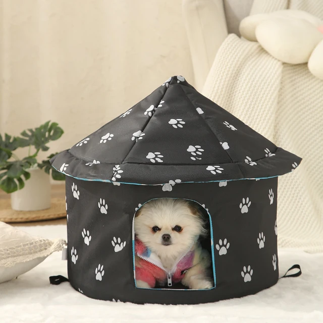 Can An Outdoor Dog An Indoor Dog