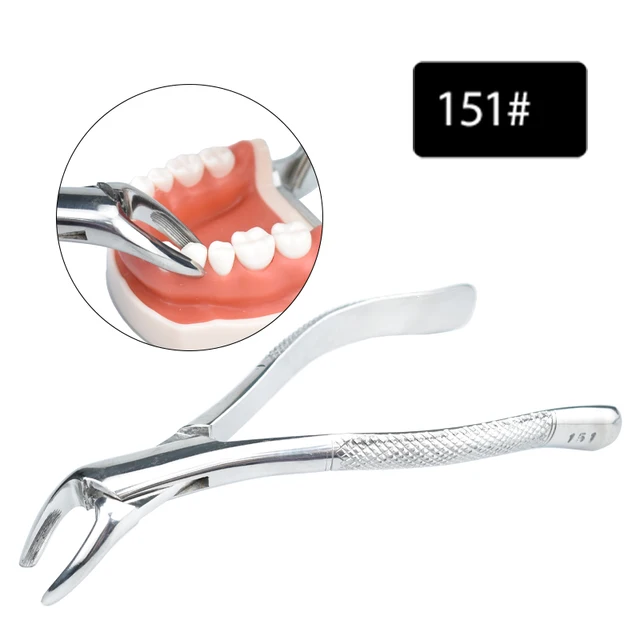 top-grade stainless steel dental forceps