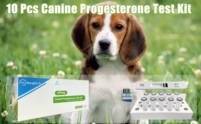 Dog Dna Test 10pcs Dog Progesterone Analyzer Test Card Canine