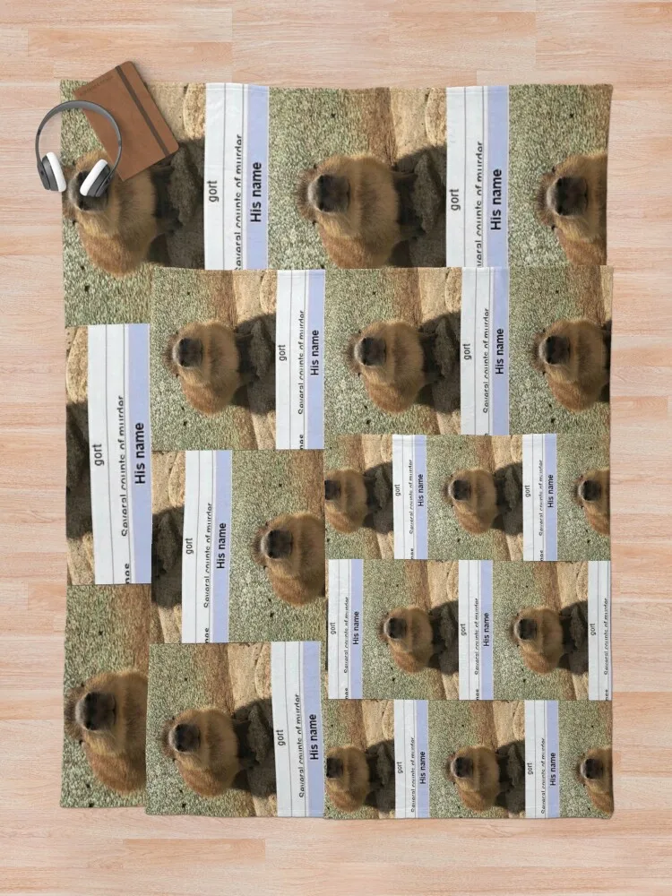 Mort ������ ��� ���� ħ�� ���