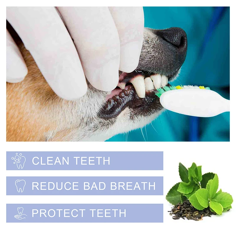 Pet Cleaning Toothpaste 100g Pet Cleaning Tartar Tooth Stain Repairteeth White Cat Dog Oral Care Removing Tooth Stains