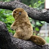 Groundhog High Fidelity Cute Marmot Plushie Bobac Plush Toys Lifelike Animals Simulation Stuffed Doll Kawai Toy Gifts For Kids 5