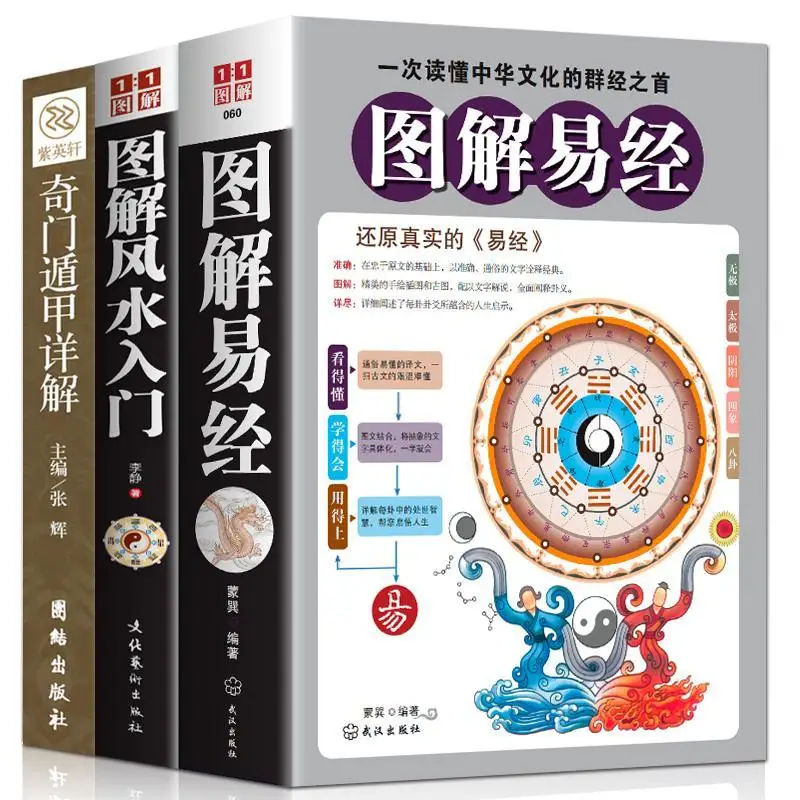 

3 Volumes of Illustrated Book of Changes Graphic Geomancy Detailed Introduction To Beginner Strange Sect Dunjia Libros