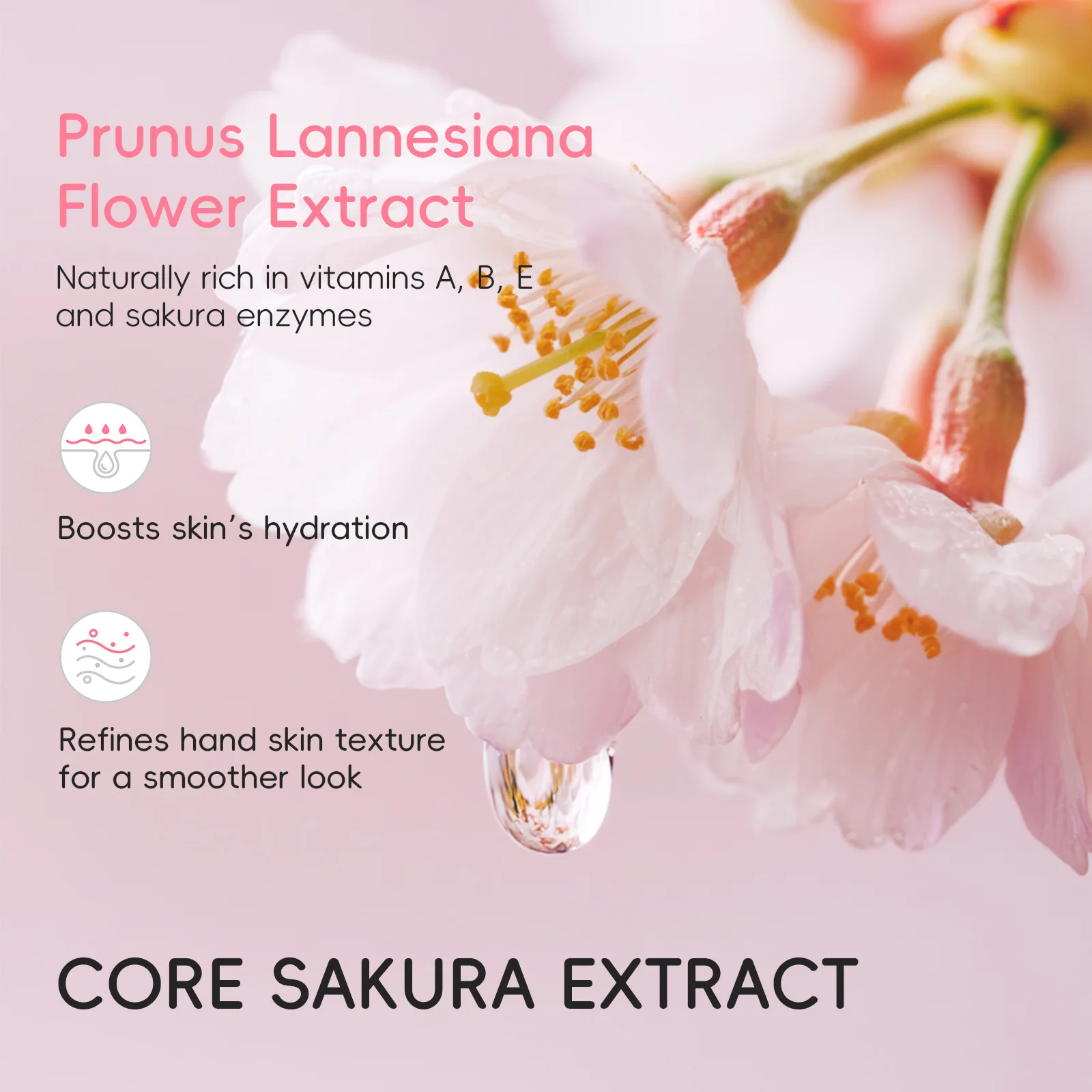Sakura Nourishing Hand Serum Hands Moisturizing Anti-chapping Brightening Hydrating Hand Serum Hand Skin Care Products Wholesale