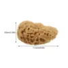 Household Greek Natural Sponge Baby Sponges Bath Sea for Bathing Skin Cleaning Scrubber 2