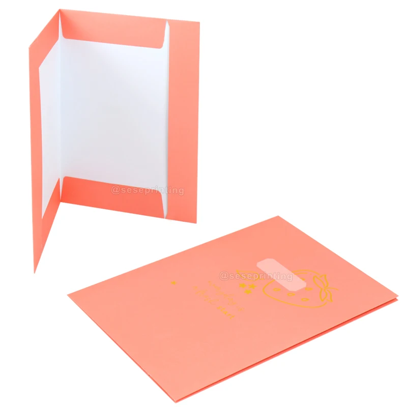 

Custom Foil Stamping Logo Design Print Business A4 Presentation Folder Document Paper Files Folders with Pockets