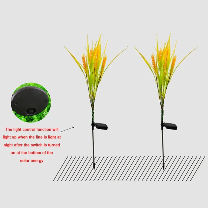 Рисунок 6 - Зернистая лужайка