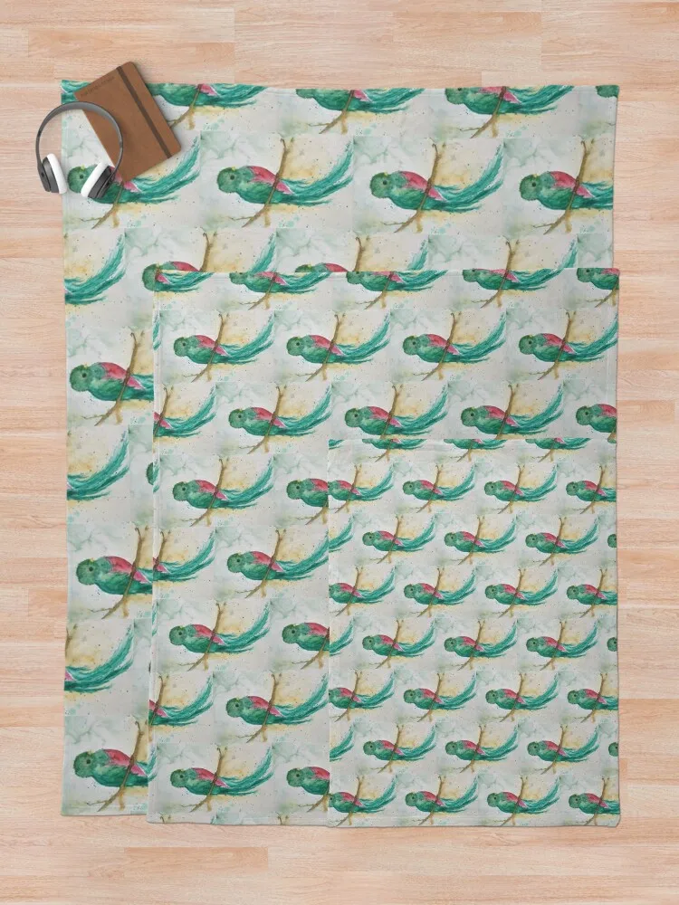 Quetzal ������ ���, ���Ÿ� ���� ���� �ִϸ��̼� ���