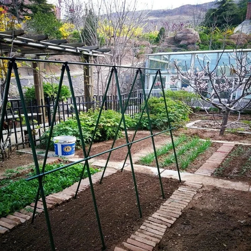 Rete a traliccio per piante da giardino, supporto per piante in, rete per piante