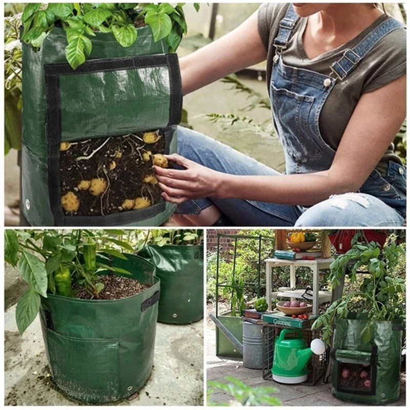 GardenTool Potato Grow Bag PE Vegetable Grow Bags with Handle Thickened Growing  Bag Vegetable Onion Plant Bag Outdoor Garden Pot - AliExpress