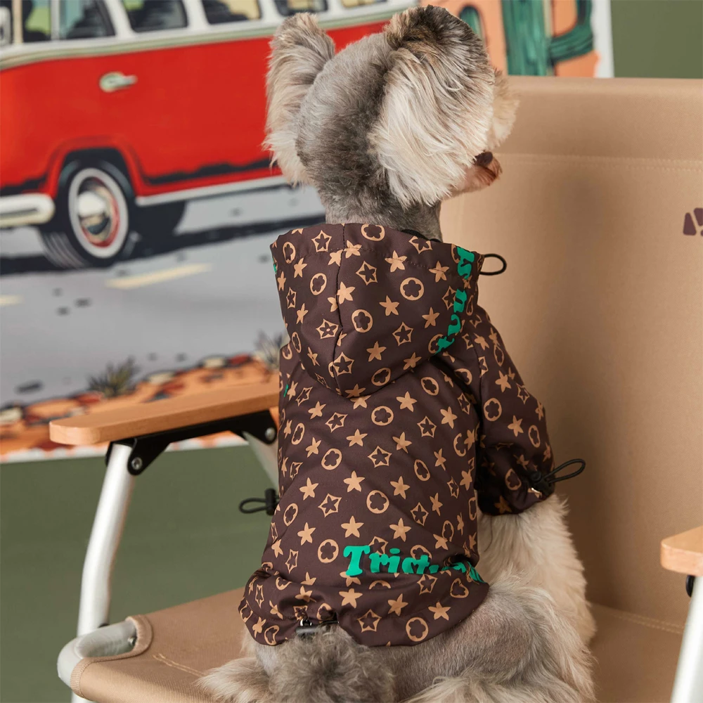 10 high fashion pet accessories for your stylish dog  Mint Lounge