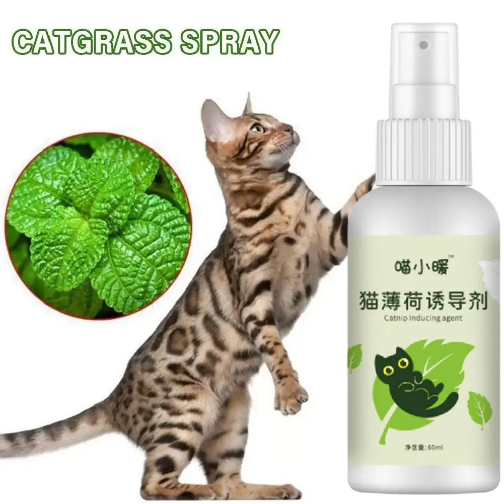 60ml Natural Healthy Cat Catnip Spray Safe Long-term Pet Pad Mood Effect Pet Supplies Soothe Training Spray Inducer Scratch W5A3