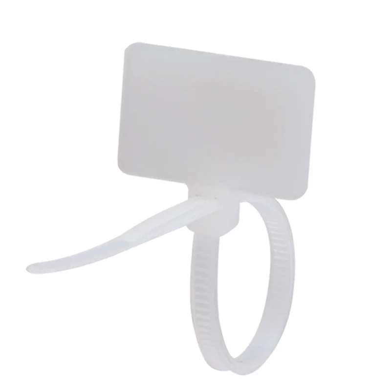 Slide image 9b3c882df7ed442b8d5080ea35eacaa5