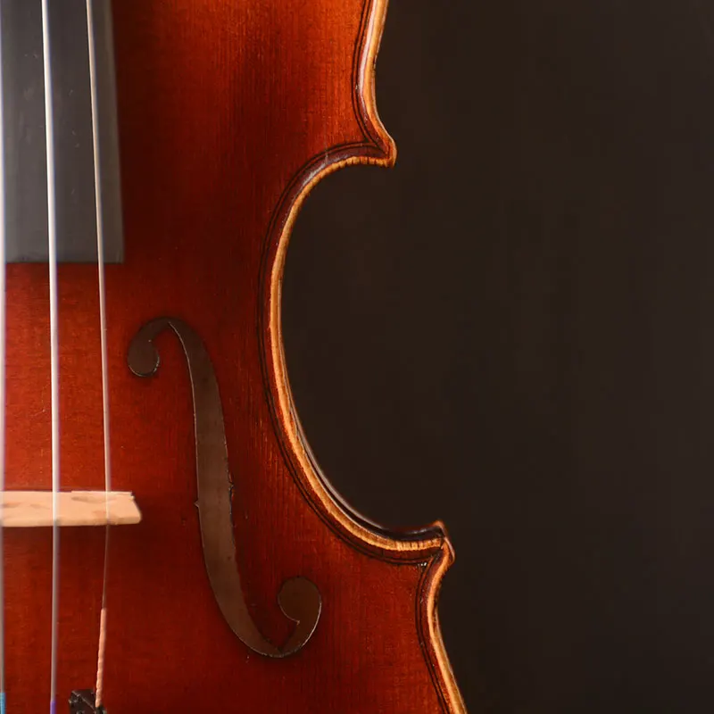 Standard Model !Guarneri model 4/4 size Violin . deep mellow tone, oil antique varnish, free case , bow and a should rest