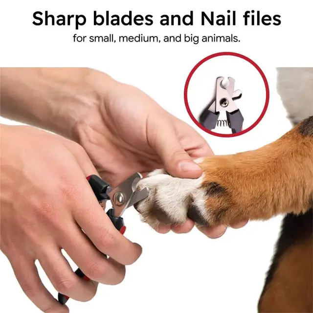 Professional Pet Dog Nail Clipper Cutter Stainless Steel Grooming Nail Toe Claw Scissors Clippers for Animals Cats Pet Supplies 4