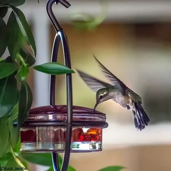 1pc//2pcs/3pcs Beautiful Hanging Hummingbird Feeder, Metal Bottle Humming Bird Feeder With Circular Metal Holder And Perch - Image 5