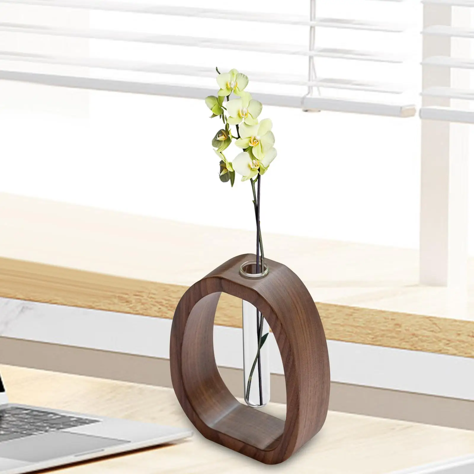 Test Tube Vase with Wooden Stand Creative Modern Decorative Glass Planter Bud Vase for Living Room Tabletop Desk Bedroom Indoor