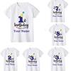 Boy Birthday Number Name Cartoon T Shirt Number 1 2 3 4 5 6 7 8 9 Graphic Kids Clothes Children Birthday T-shirts Funny Gift 1